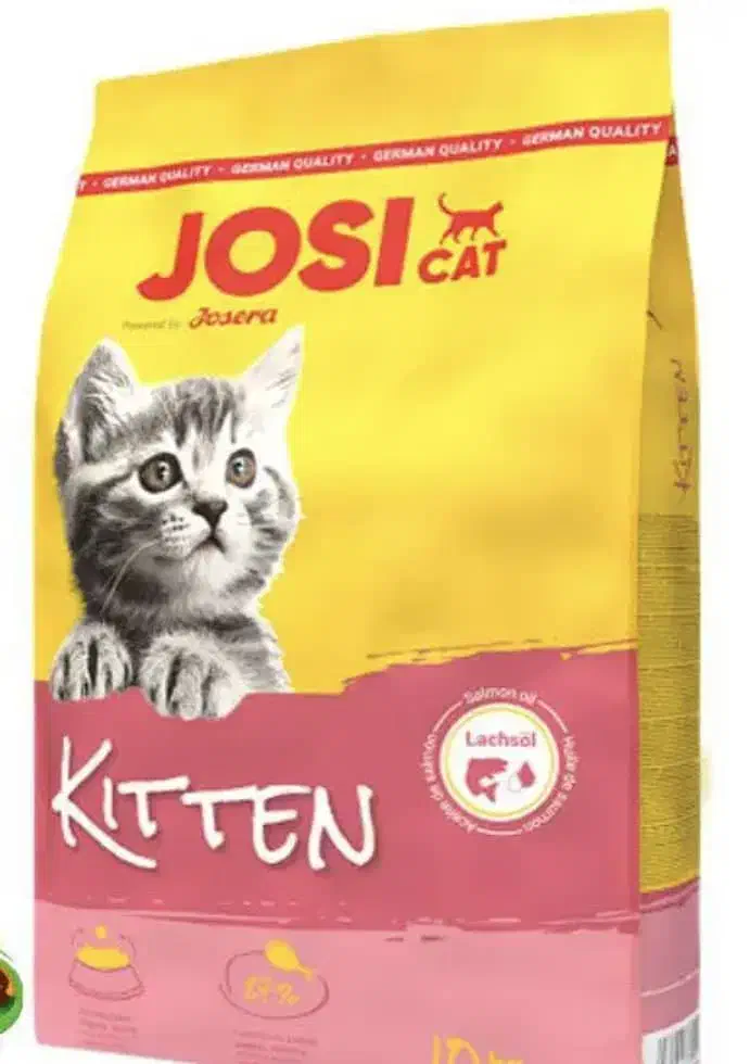 جوسرا جوسی مینی ادولت بیف چیکن کیتن|لوازم جانبی حیوانات|تهران, جوادیه|دیوار