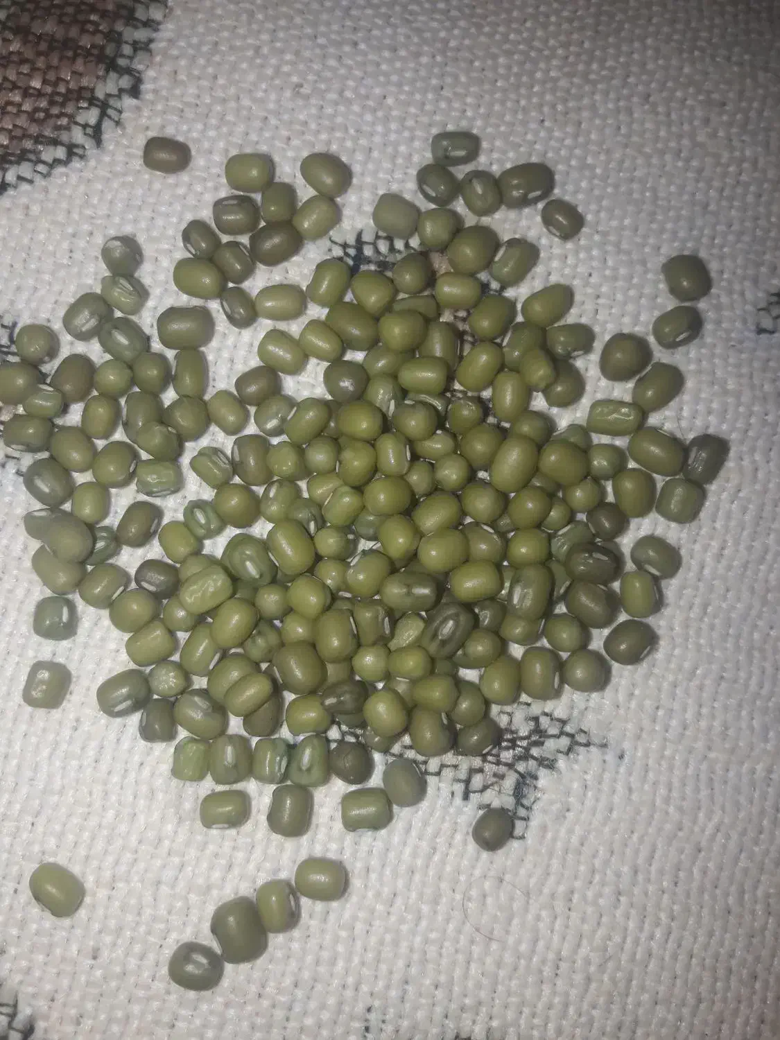 ۲۰ گونی ماش درج یک یک|خوردنی و آشامیدنی|چگنی, |دیوار