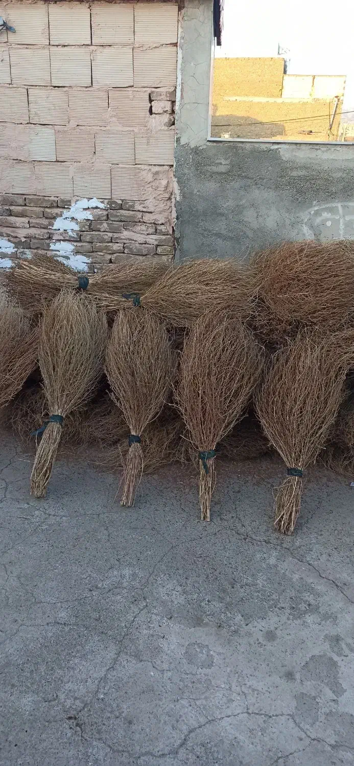 جارو|جاروبرقی، جارو شارژی، بخارشو|سبزوار, شرق کال میانی|دیوار