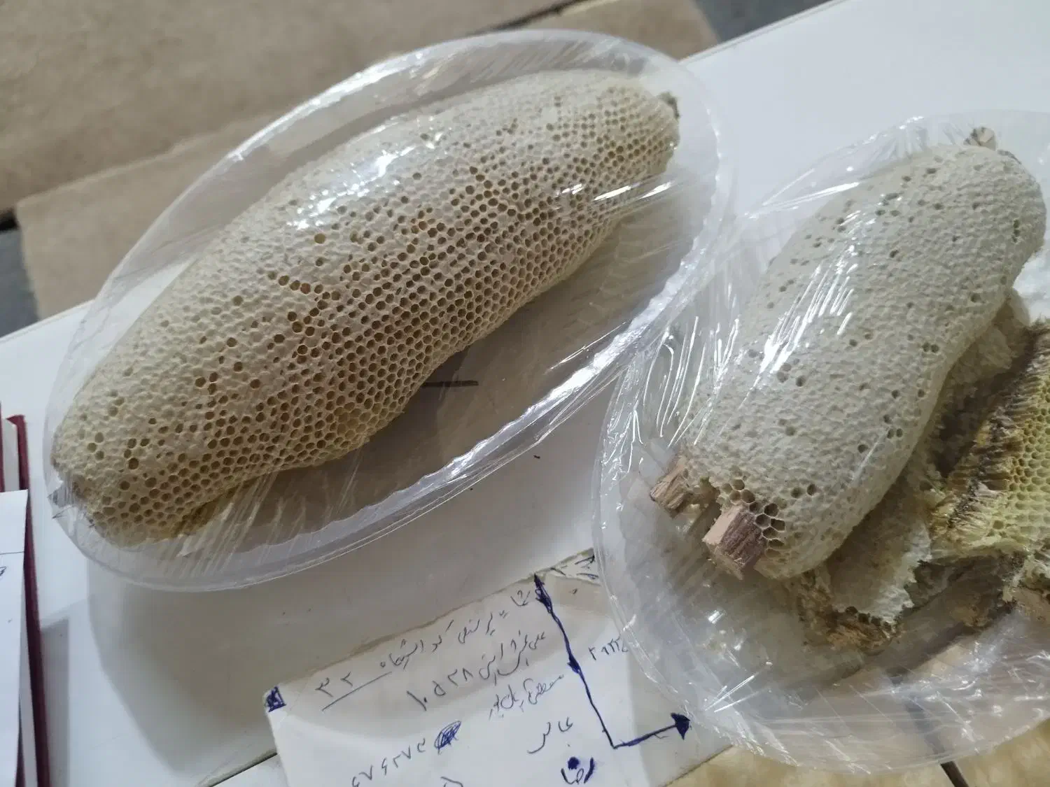 عسل کوهی|خوردنی و آشامیدنی|بوشهر, |دیوار