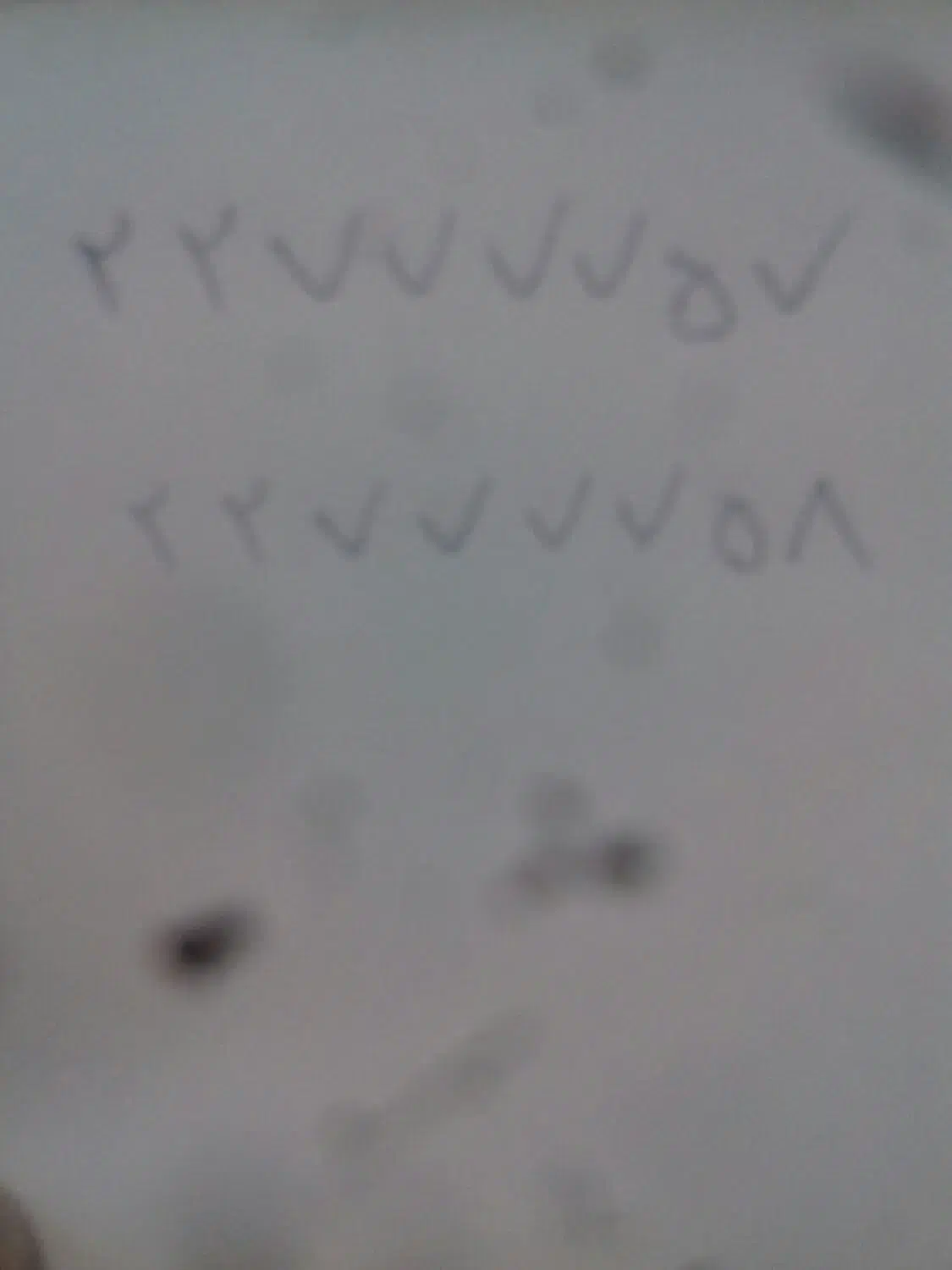 خط ثابت رند شماره تلفن ثابت رند|تلفن رومیزی|تهران, پاسداران|دیوار