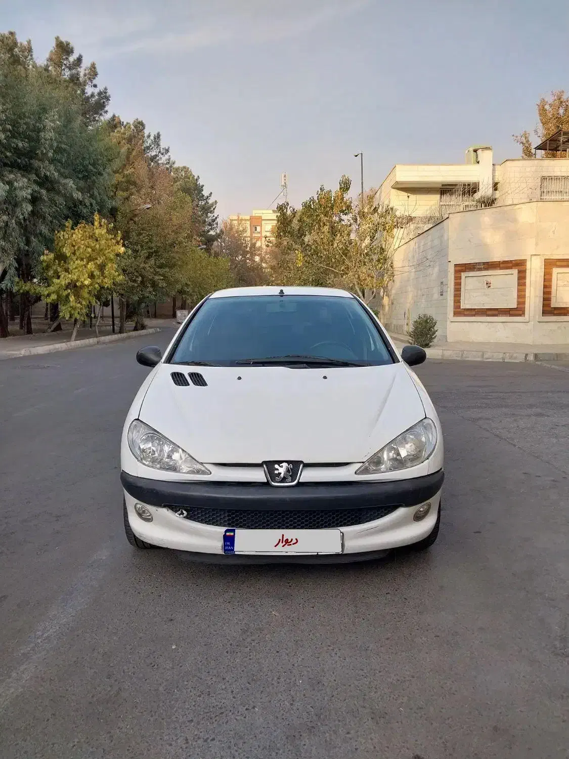 پژو ۲۰۶ تیپ ۲|خودرو سواری و وانت|ری, جوانمرد قصاب|دیوار