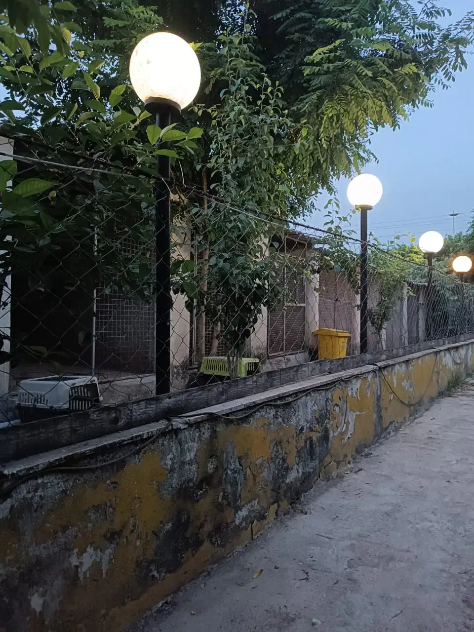 پانسیون سگ|لوازم جانبی حیوانات|ارطه, |دیوار