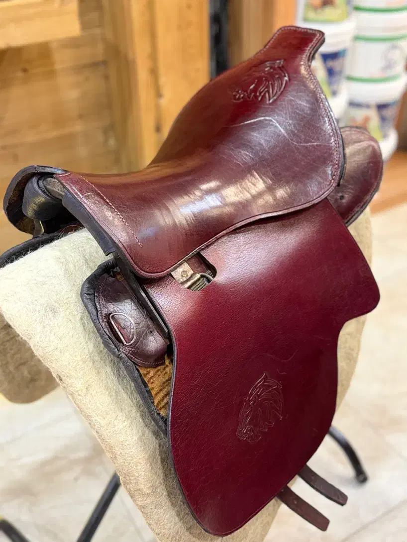 زین برنو برگ پهن|اسب و تجهیزات اسب‌سواری|اهواز, کمپلو شمالی|دیوار