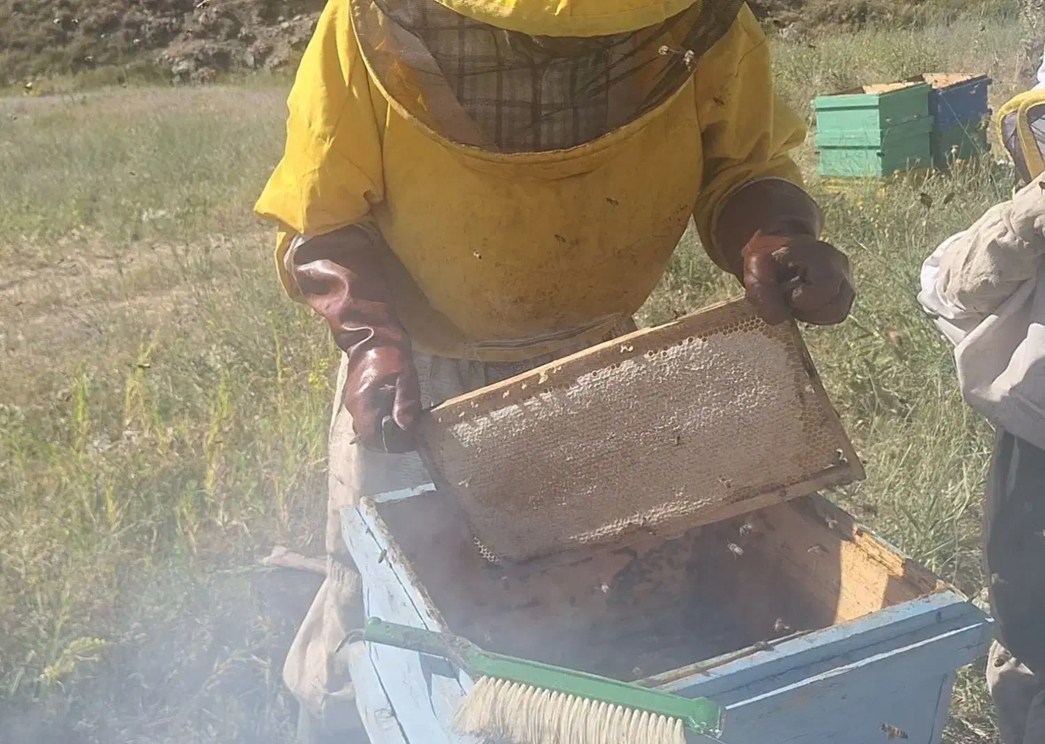 عسل کوه بلقیس|خوردنی و آشامیدنی|زنجانرود, |دیوار