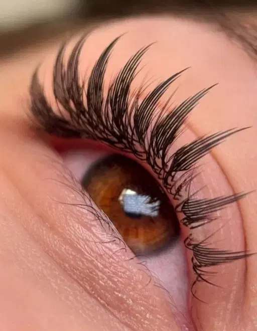 کاشت مژه بدون چرخش و ریزش ۴۰ روز ماندگاری|خدمات آرایشگری و زیبایی|تبریز, |دیوار