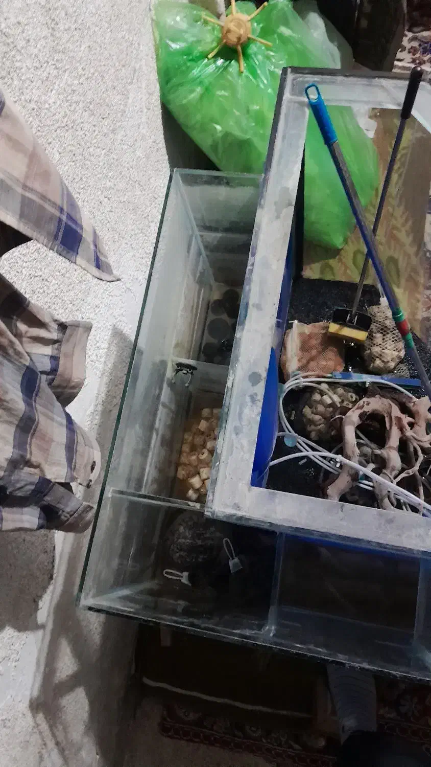 آکواریوم تصفیه دار|ماهی|مشهد, شهید معقول|دیوار