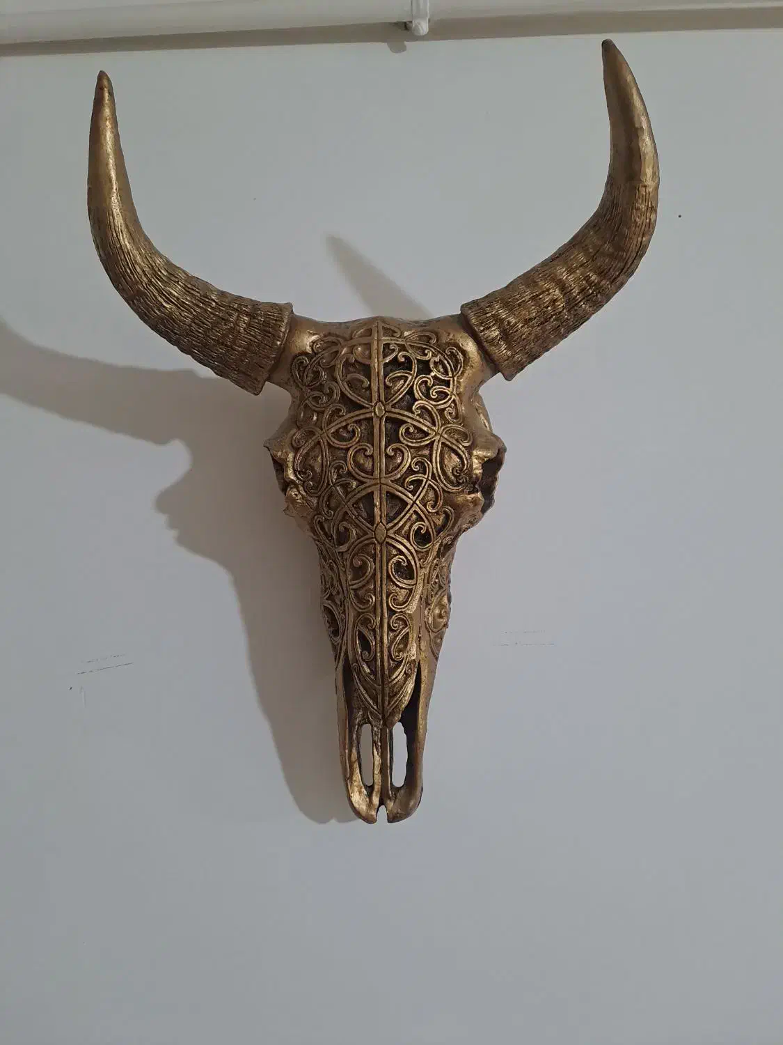 دوعدد کله قوچ|مجسمه، تندیس، ماکت|خمین, |دیوار