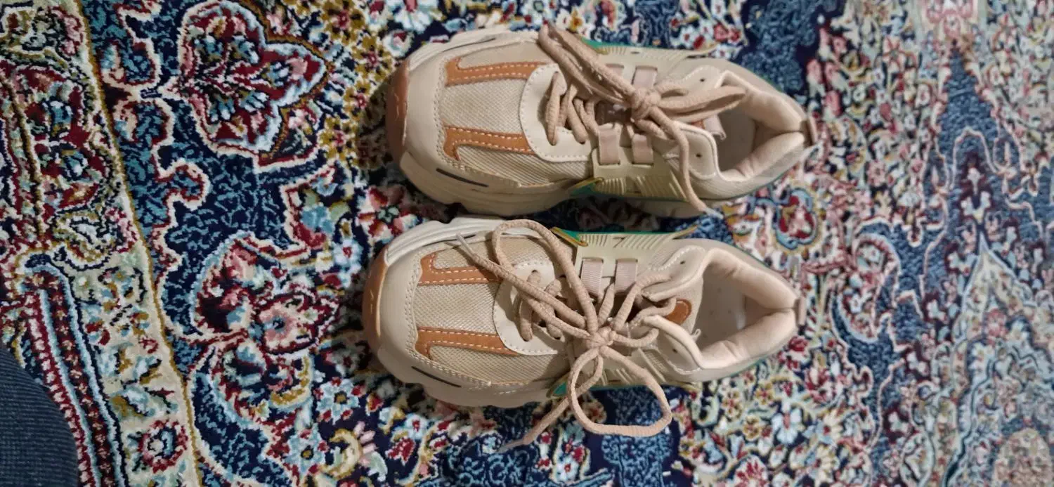 یک جفت کفش|کیف، کفش، کمربند|جیرفت, |دیوار