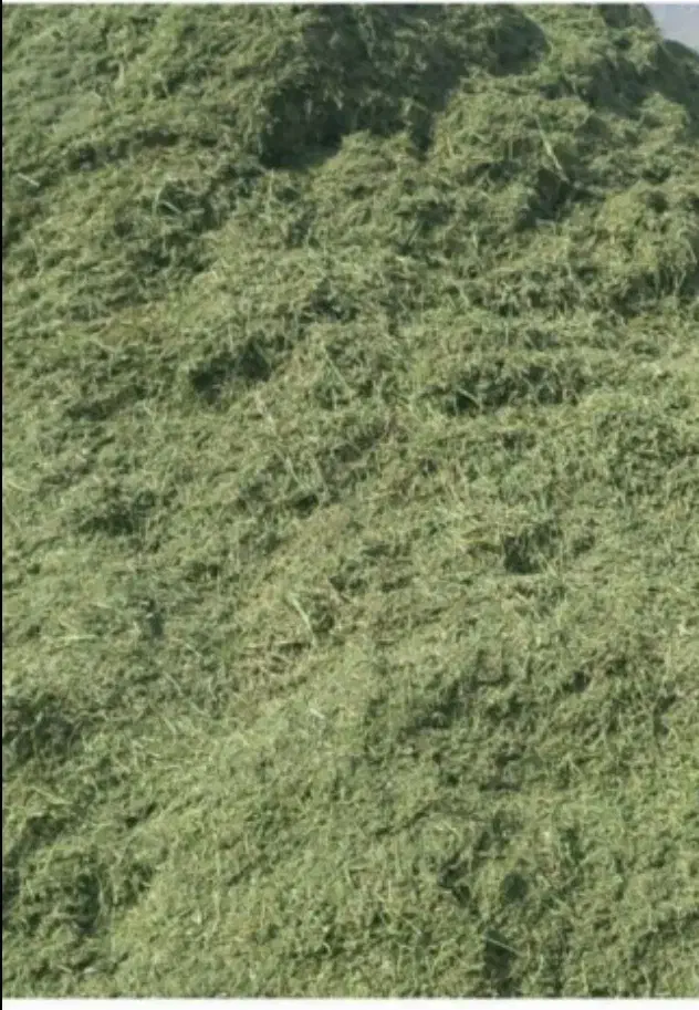 یونجه کوبیده|خدمات باغبانی و درختکاری|فرمهین, |دیوار