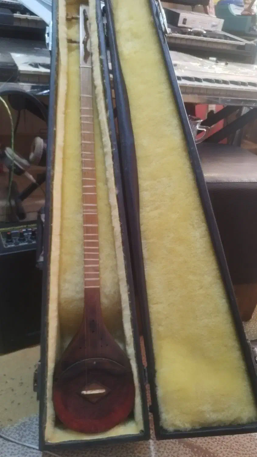 سه تار پوستی هرمز ملکشاهی|سازهای سنتی|شهرضا, |دیوار