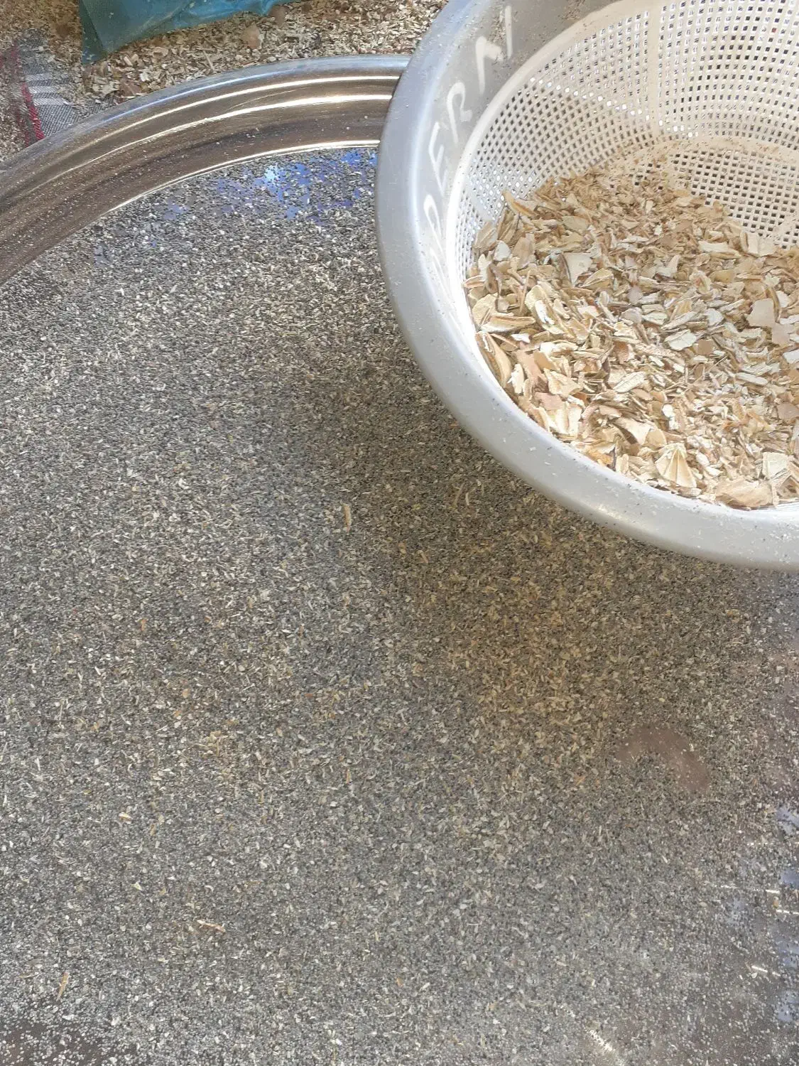 گل گیاه|گل و گیاه طبیعی|کوهدشت, |دیوار