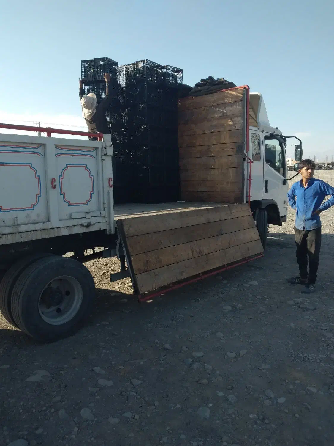حمل ترهبار اساس لوازم کامیونت خاور اتاق ۶متری|خدمات حمل و نقل|جیرفت, |دیوار