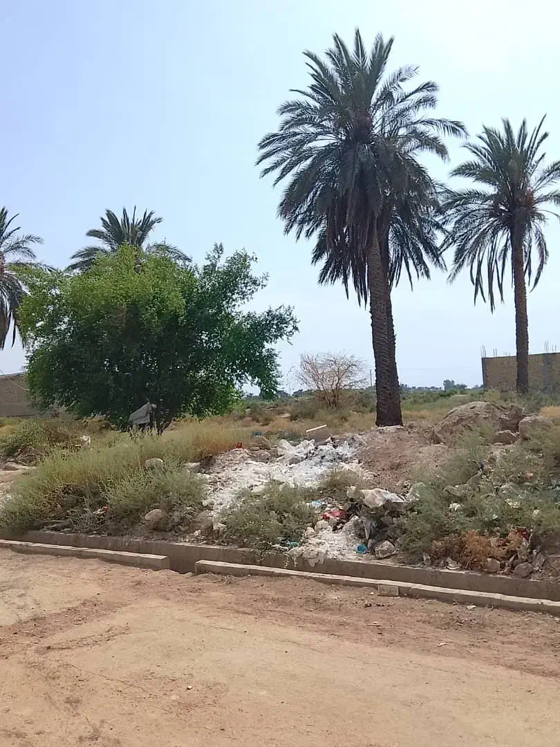 زمین 250|فروش زمین و ملک کلنگی|حمیدیه, |دیوار