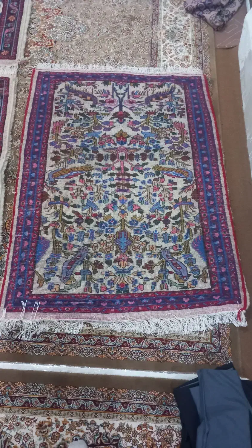 قالی خَرَک|فرش|قم, شهرک امام حسین|دیوار