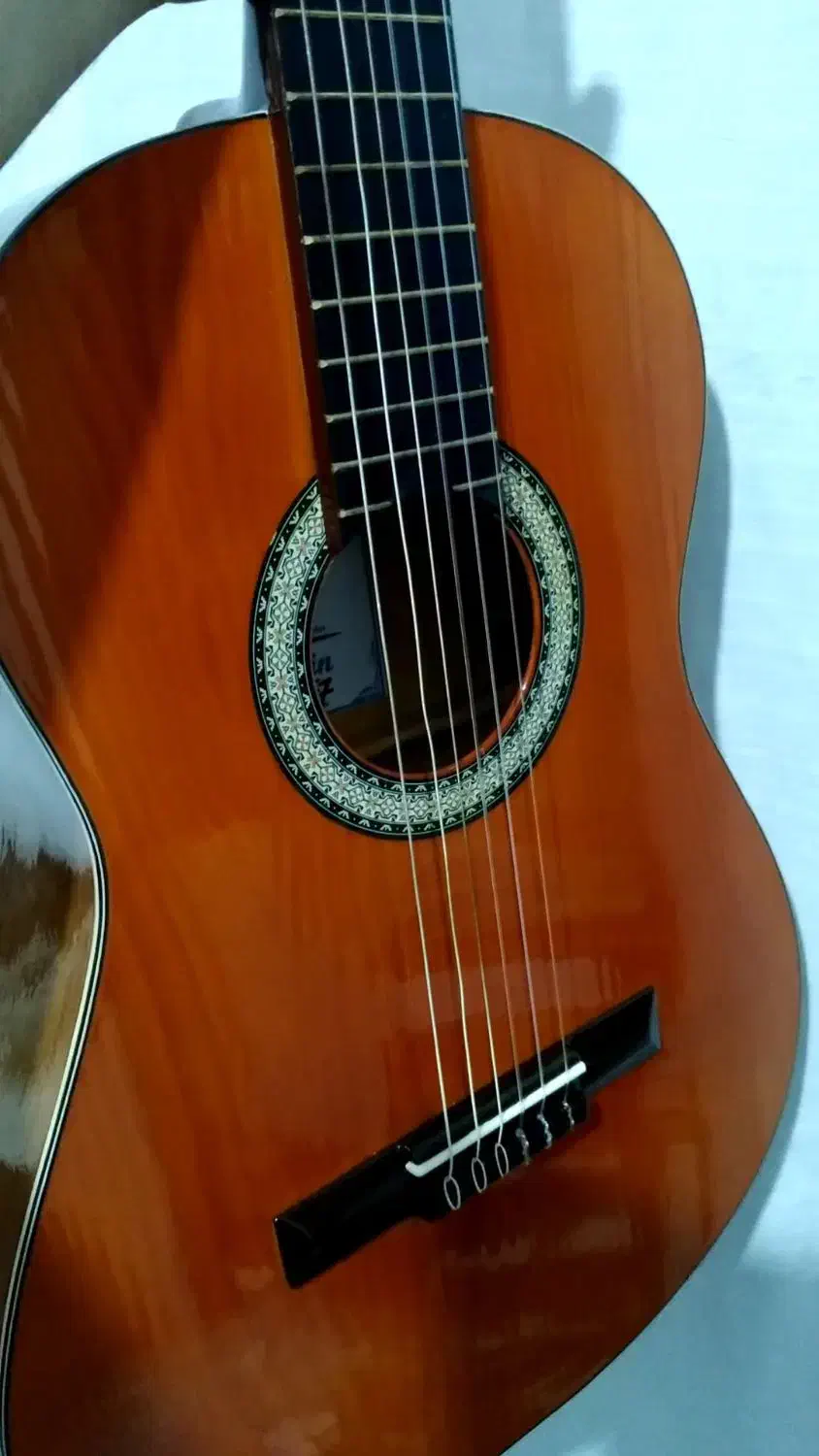 گیتار حرفه ای صفحه چوب اسپیروس|گیتار، بیس، امپلیفایر|تالش, هشتپر|دیوار