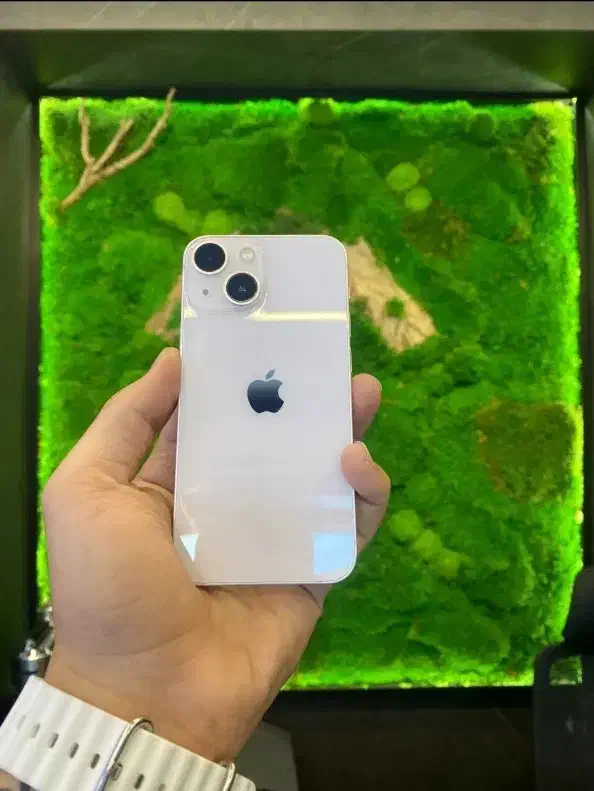 iphone 13mini|موبایل|یزد, |دیوار