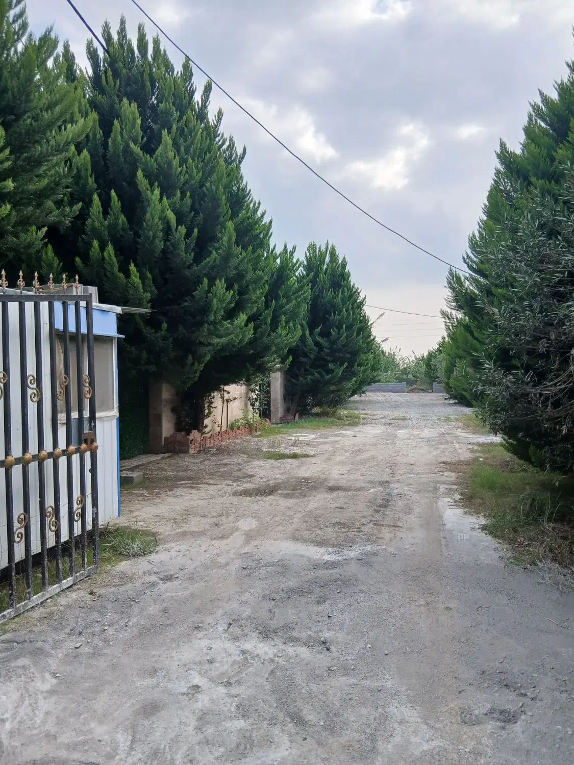 ویلا موجود در شمال شهرکی دارای نگهبان|فروش خانه و ویلا|دابودشت, |دیوار