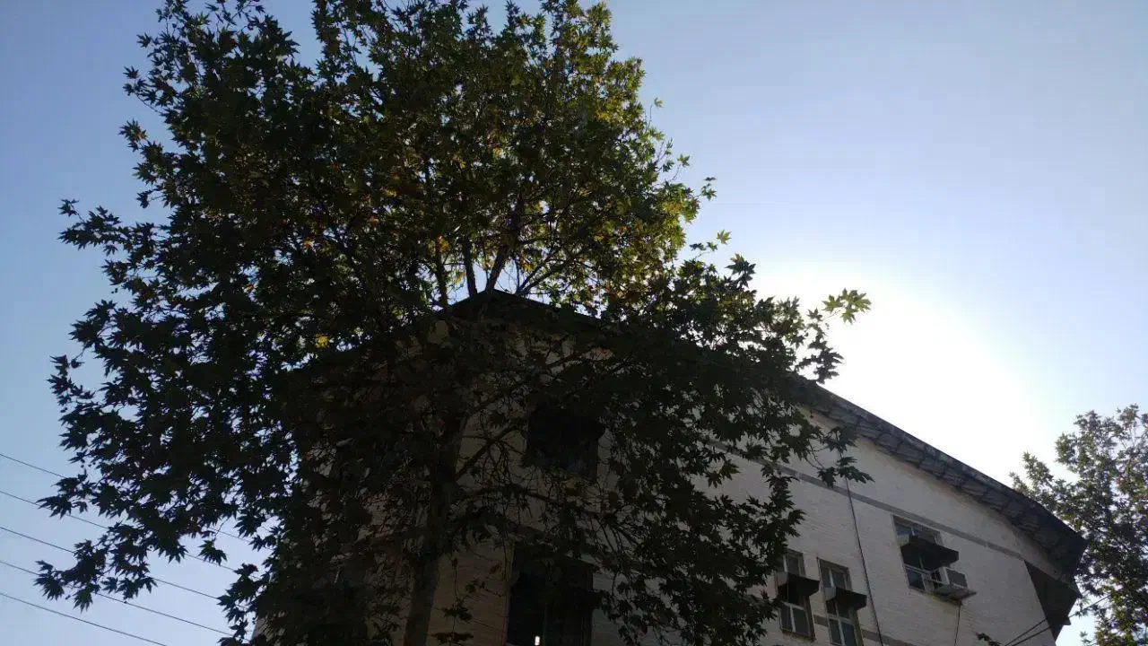 فروش مغازه تجاری در بلوار شهید بهشتی رشت|فروش مغازه و غرفه|رشت, منظریه|دیوار