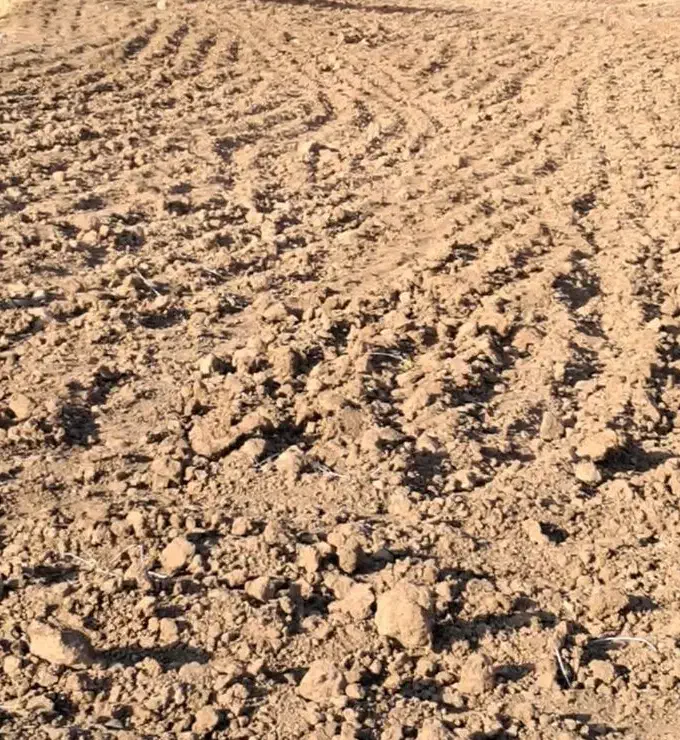 اجاره زمین کشاورزی|اجارهٔ دفتر صنعتی، کشاورزی، تجاری|کوهدشت, |دیوار