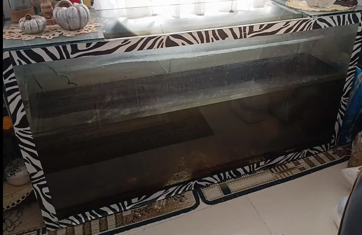 آکواریوم سایز بزرگ|ماهی|هشتگرد, فاز ۱ مهستان|دیوار