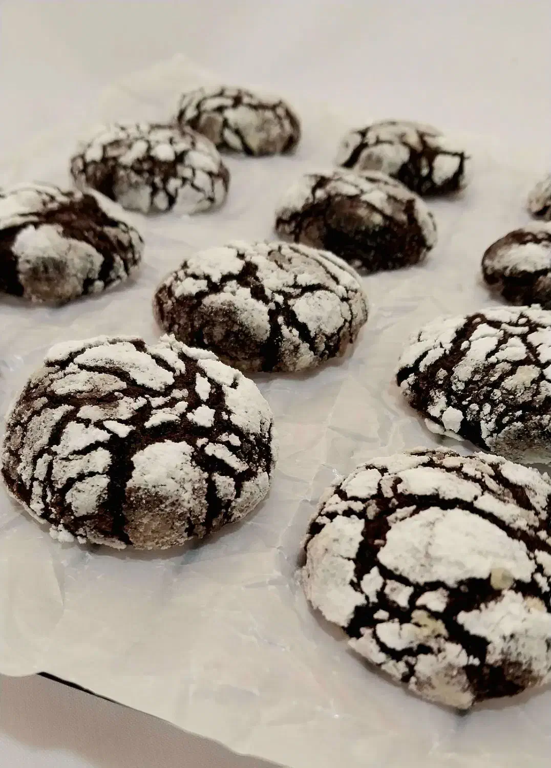 سفارش انواع کوکی|خوردنی و آشامیدنی|سبزوار, سجاد|دیوار