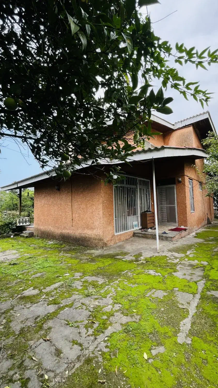 ویلاباغ ۶۳۰ متری سنددار با درختان مرکبات سیسنگان|فروش خانه و ویلا|نوشهر, |دیوار