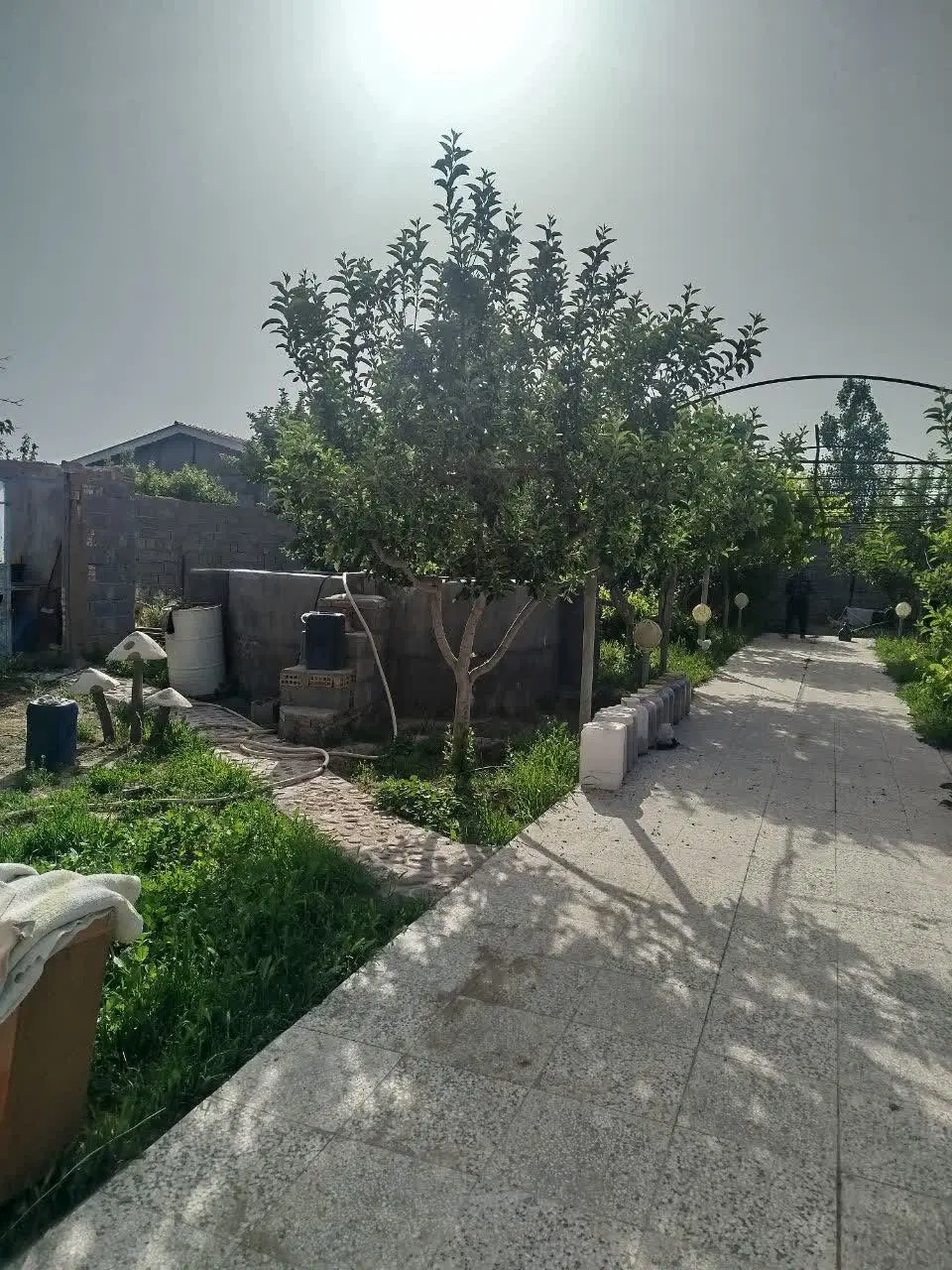 تصویر 16