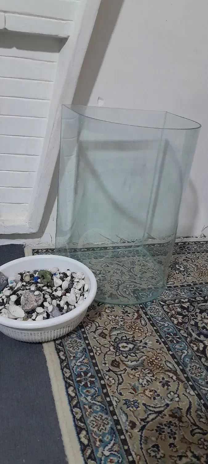 اکواریوم|ماهی|نیشابور, بنیاد شهید|دیوار