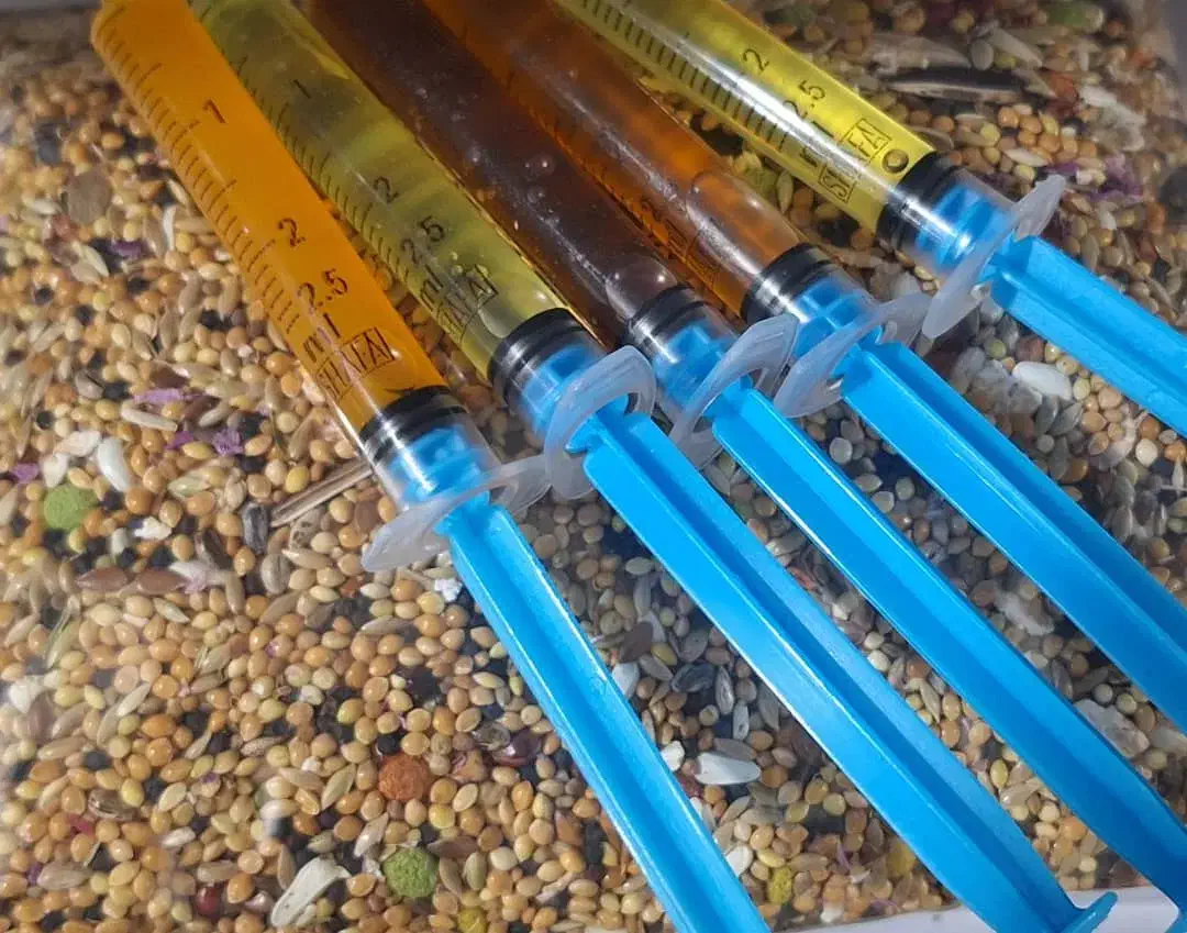 پک مکمل تقویتی + آماده سازی پرندگان طوطیسان|لوازم جانبی حیوانات|سراوان, |دیوار