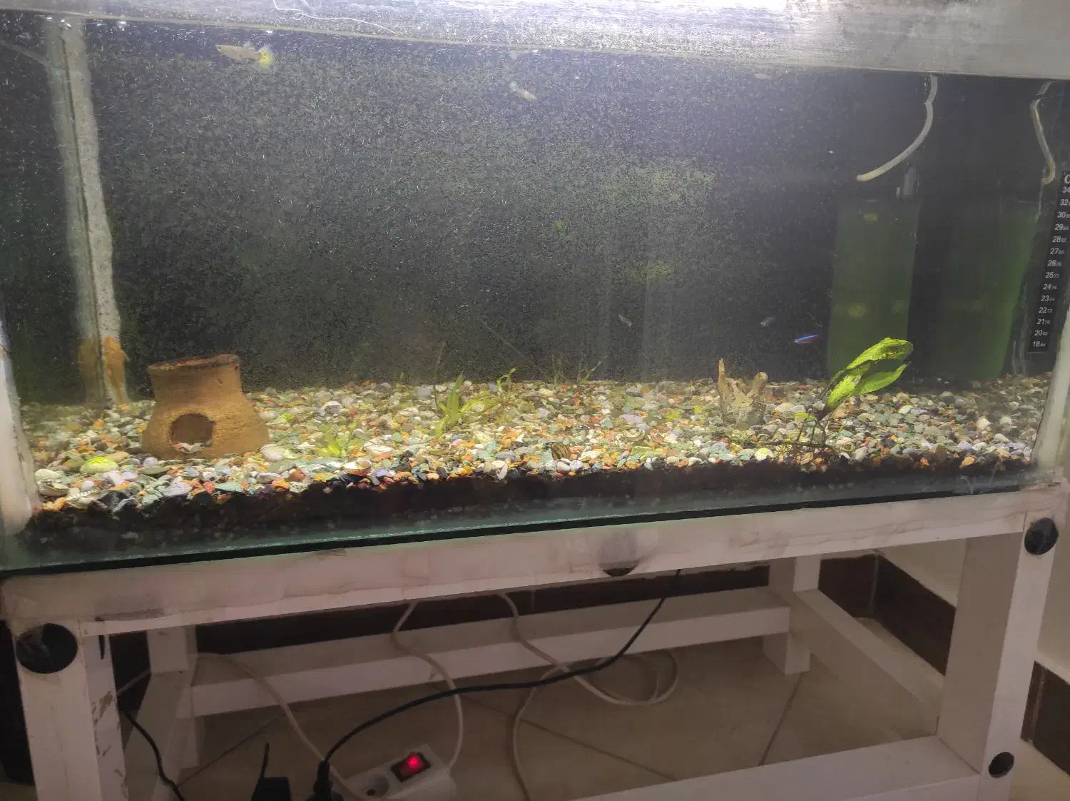 فروش فوری اکواریوم با امکانات|ماهی|رشت, نخودچر|دیوار