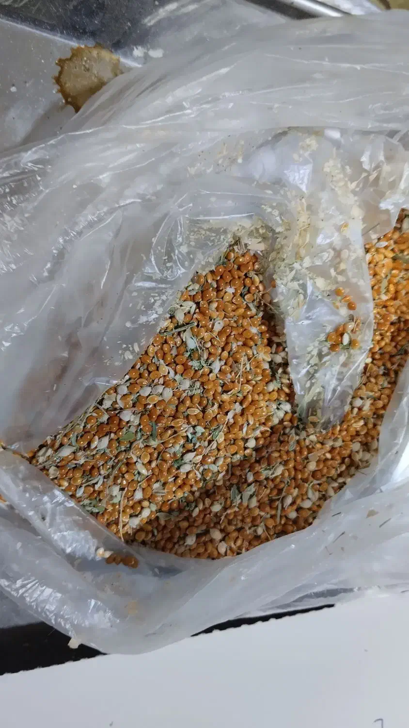 غذای مرغ عشق/ارزن/|لوازم جانبی حیوانات|انگوران, |دیوار