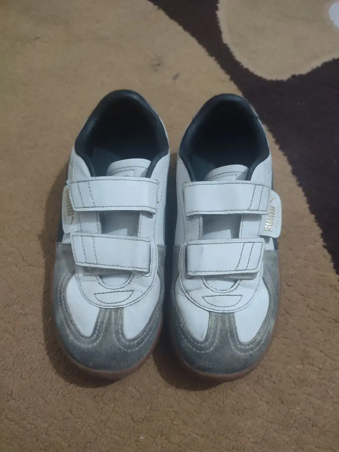 کفش پوما|کیف، کفش، کمربند|شیراز, ابیوردی|دیوار