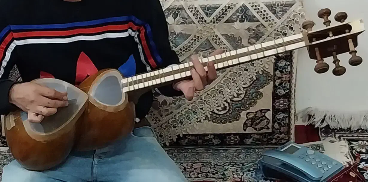 تار دو مهر خالقی|سازهای سنتی|لالجین, |دیوار