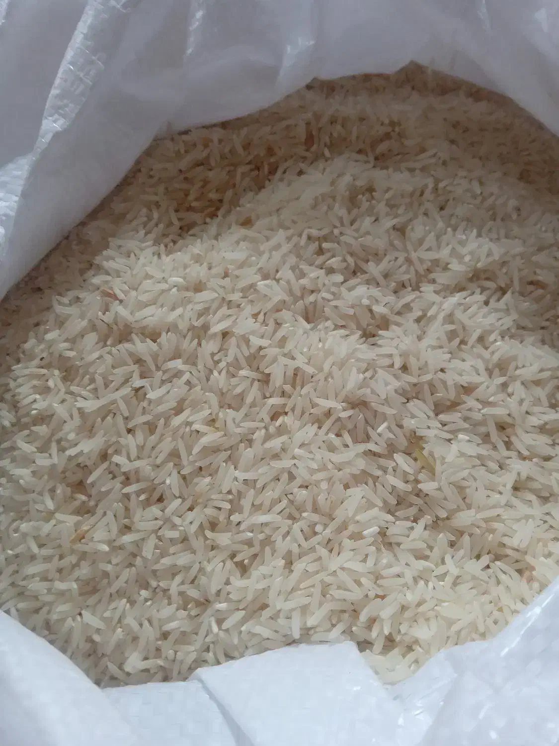 برنج فجر  سالم  عطردار وبا آب چاه حکیم اباد|خوردنی و آشامیدنی|علی‌آباد کتول, |دیوار