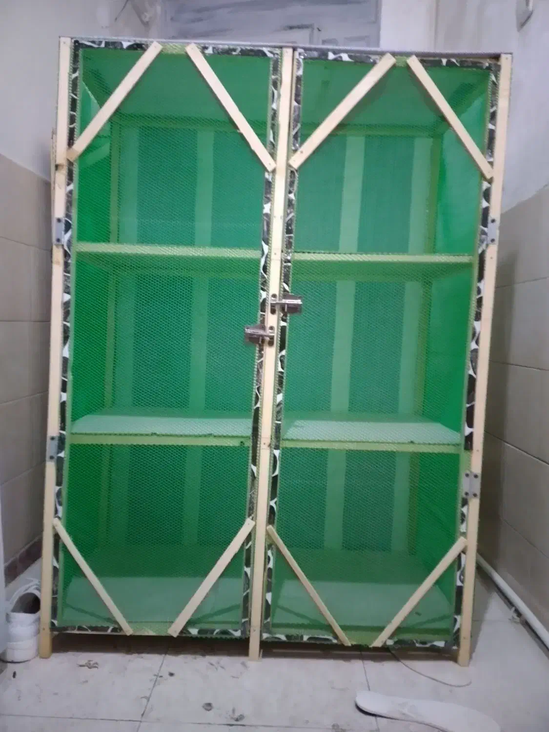 کفتر تک فروشی و جفت کن|لوازم جانبی حیوانات|تهران, شهرک رضویه|دیوار