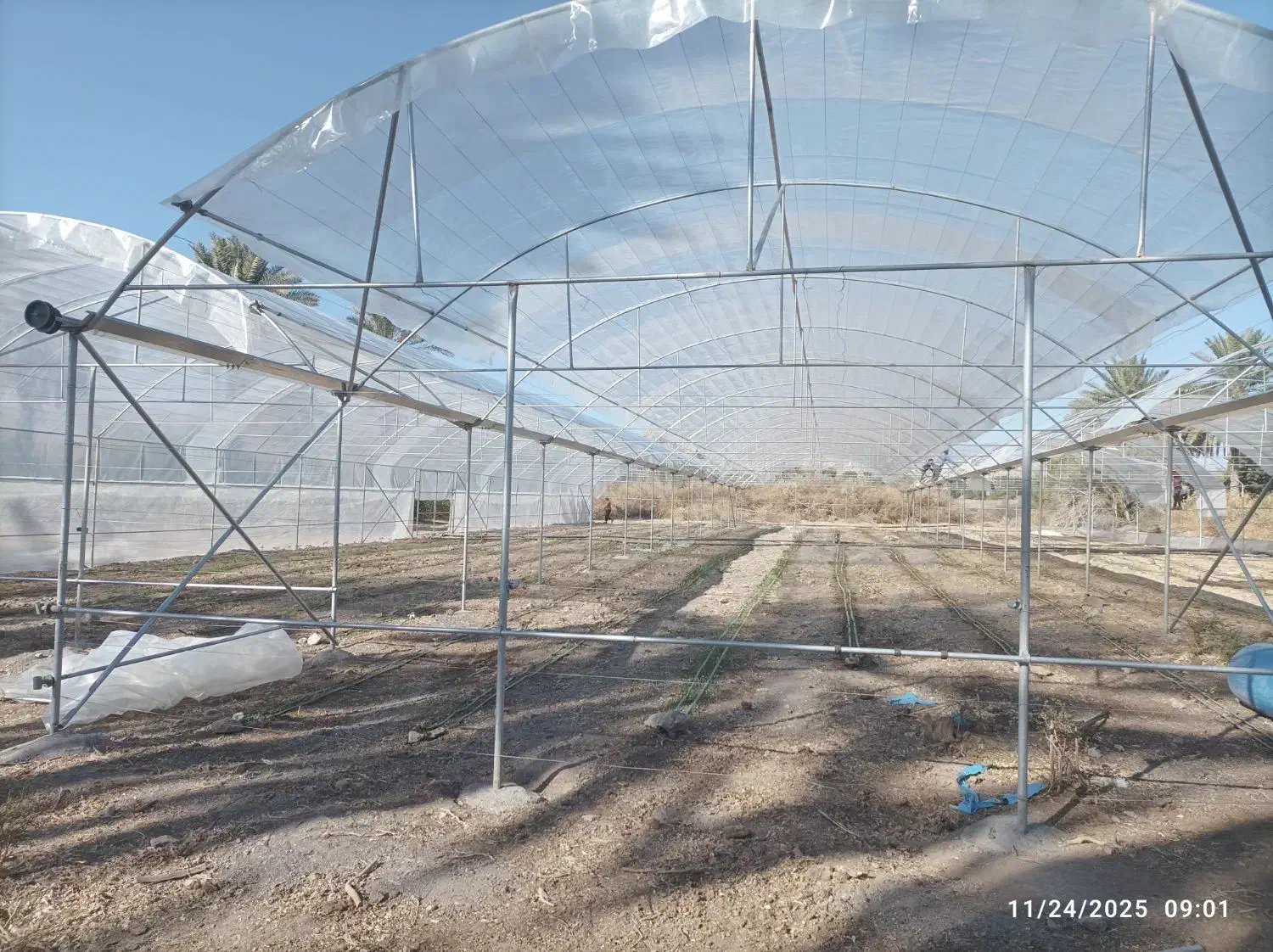 پلاستیک گلخانه|مصالح و تجهیزات ساختمان|رودان, |دیوار