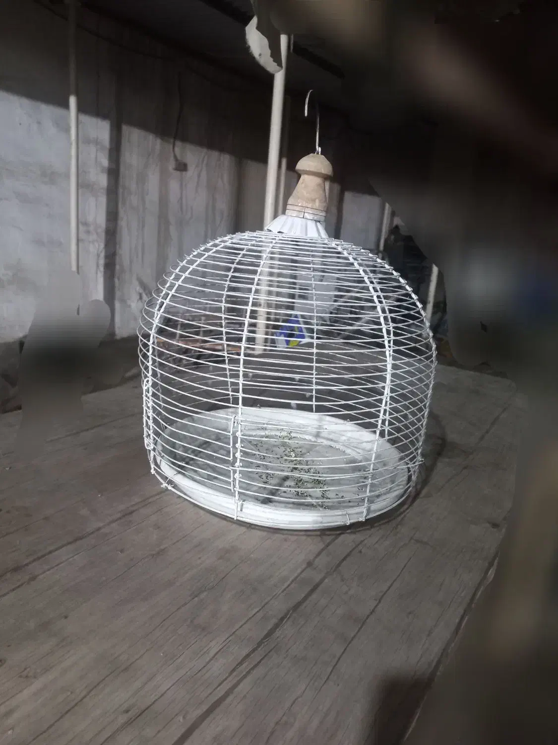 قفس|لوازم جانبی حیوانات|رامهرمز, |دیوار