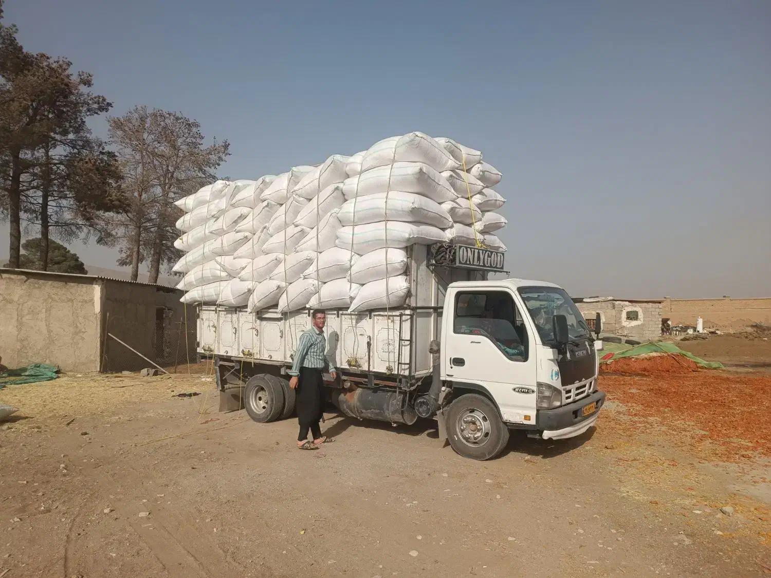 ایستگاه علوفه کرج یونجه کاه گندم لوبیا عدس|عمده‌فروشی|کرج, کمال‌شهر|دیوار