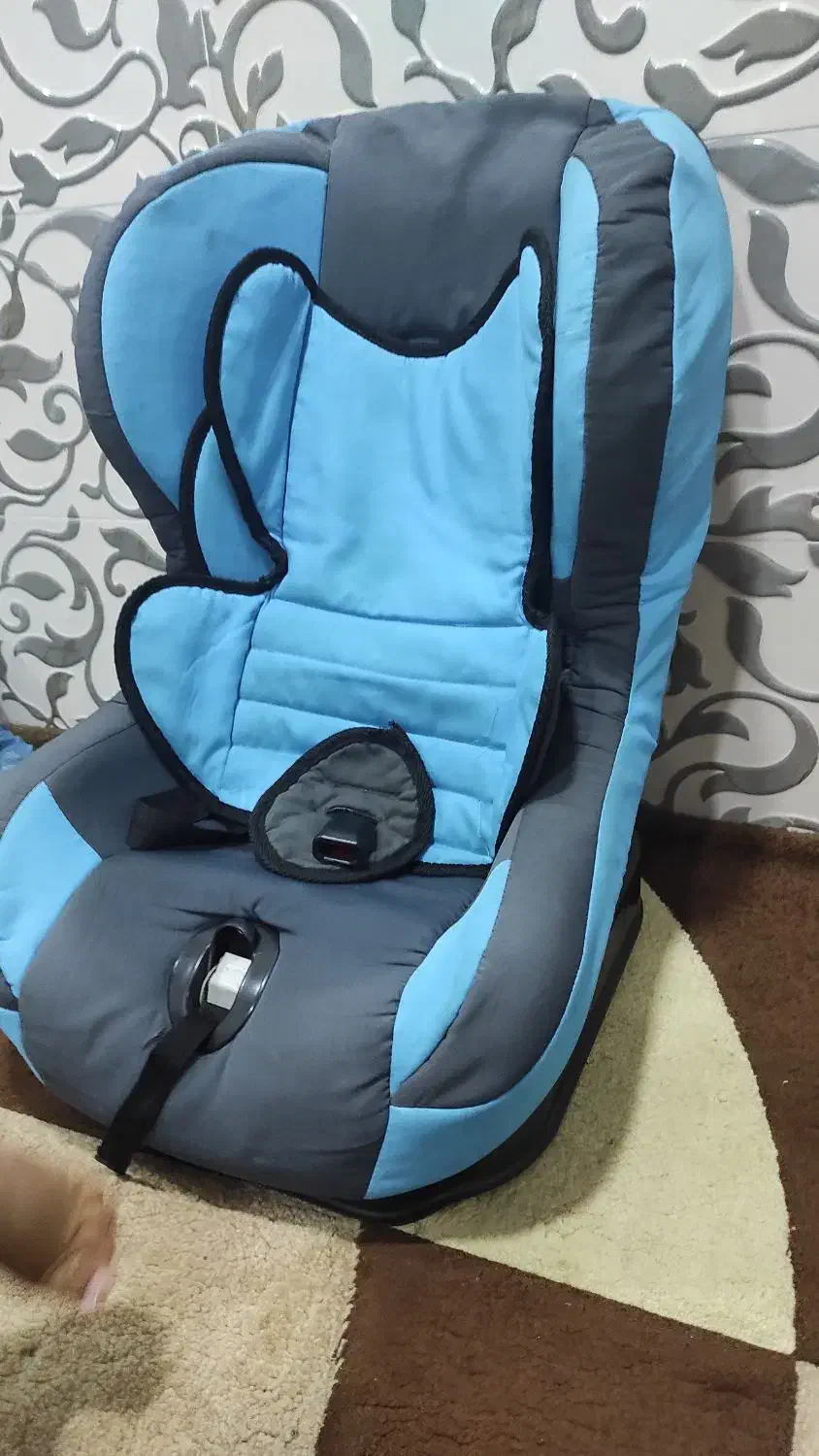 صندلی کودک|تخت و صندلی بچه|قشم, |دیوار