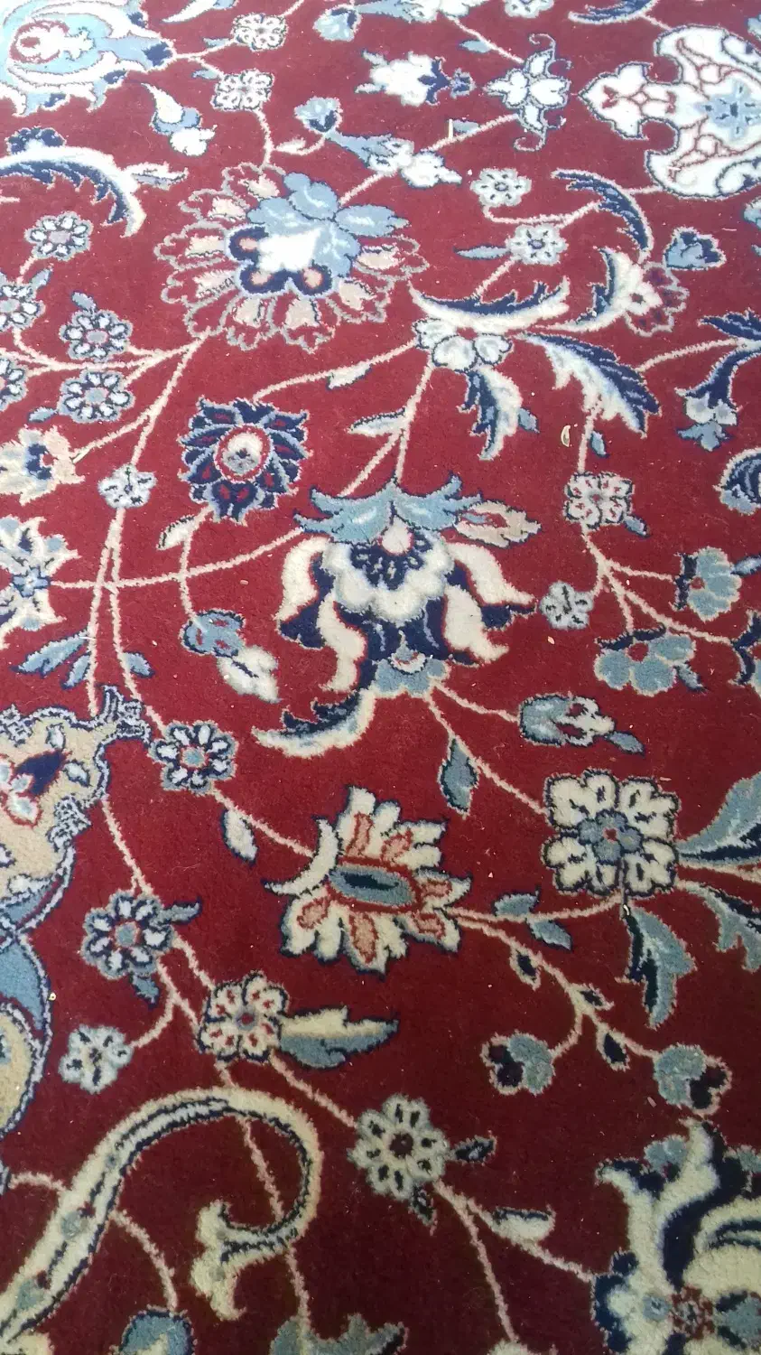 فرش دوازده متری نخی|فرش|کرمانشاه, |دیوار