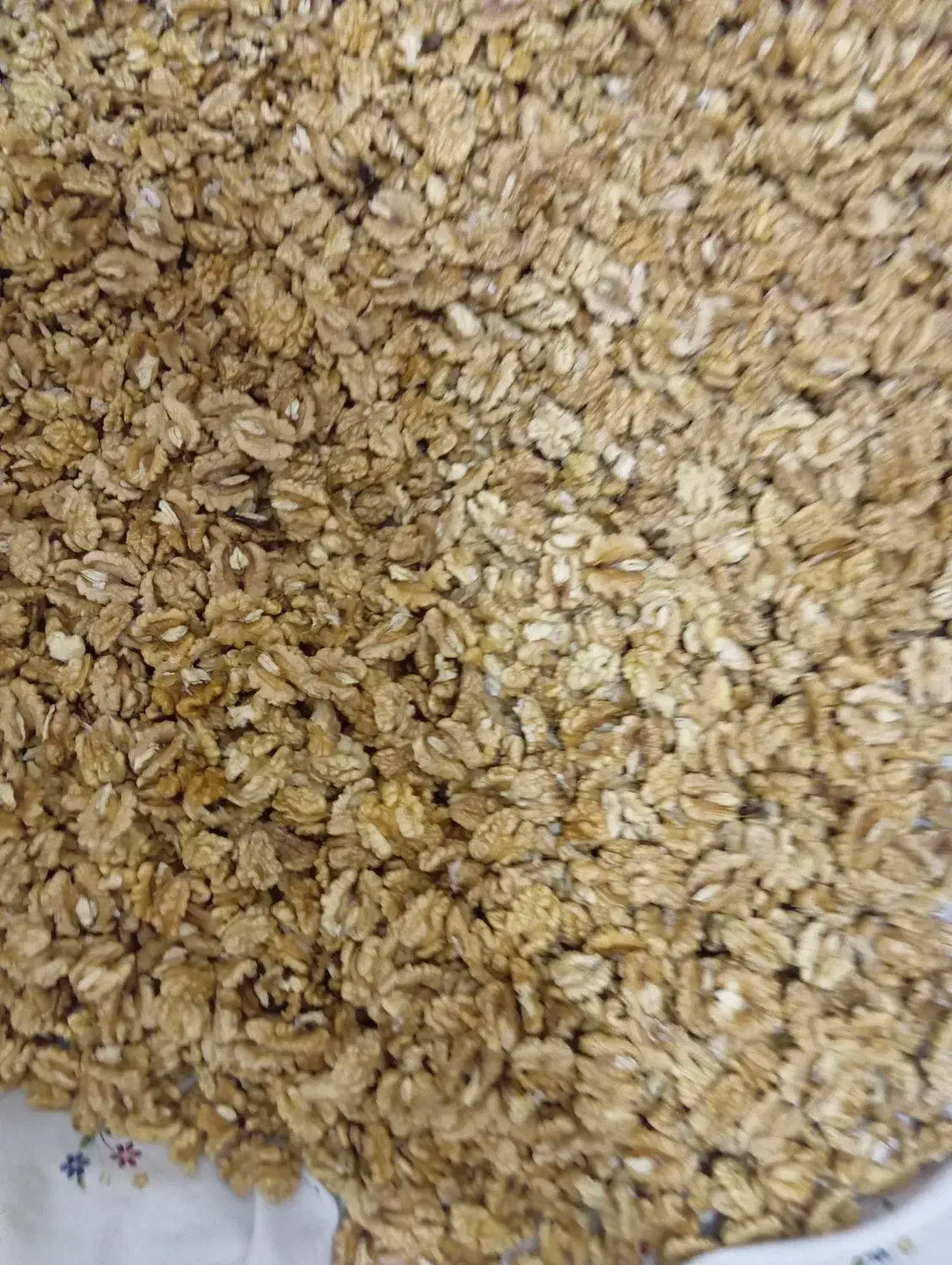 مغز گردو|خوردنی و آشامیدنی|قیدار, |دیوار