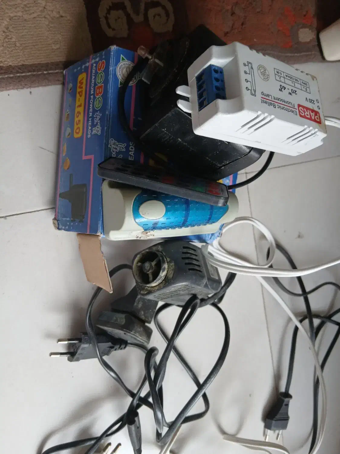 آکواریوم|ماهی|اردبیل, |دیوار