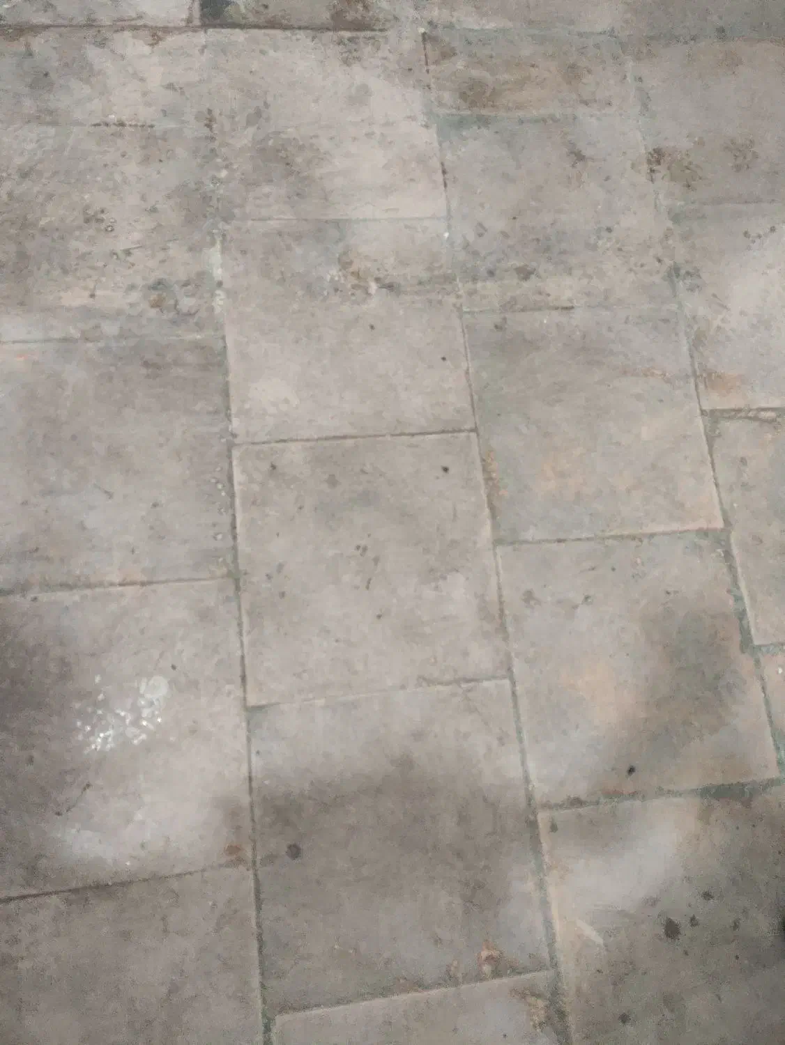 شرکت نظافتی خدماتی|خدمات نظافت|یاسوج, |دیوار