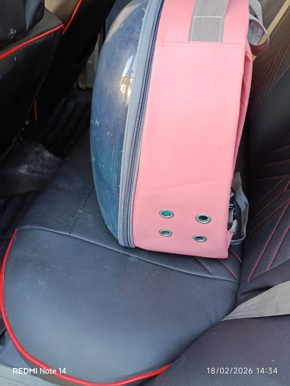 باکس گربه|لوازم جانبی حیوانات|رشت, شهرک آیت الله منتظری|دیوار