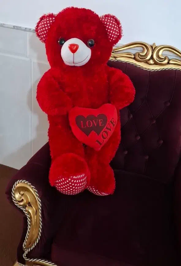 خرس شاسخین|اسباب‌‌بازی|قم, سید معصوم|دیوار