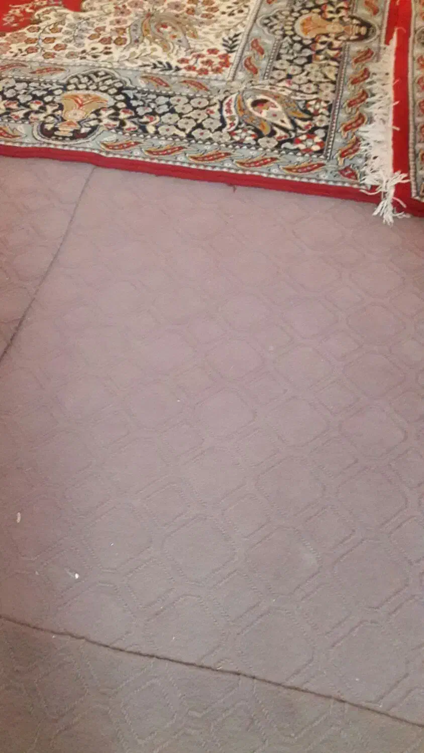 فرش وموکت|موکت|یزد, |دیوار