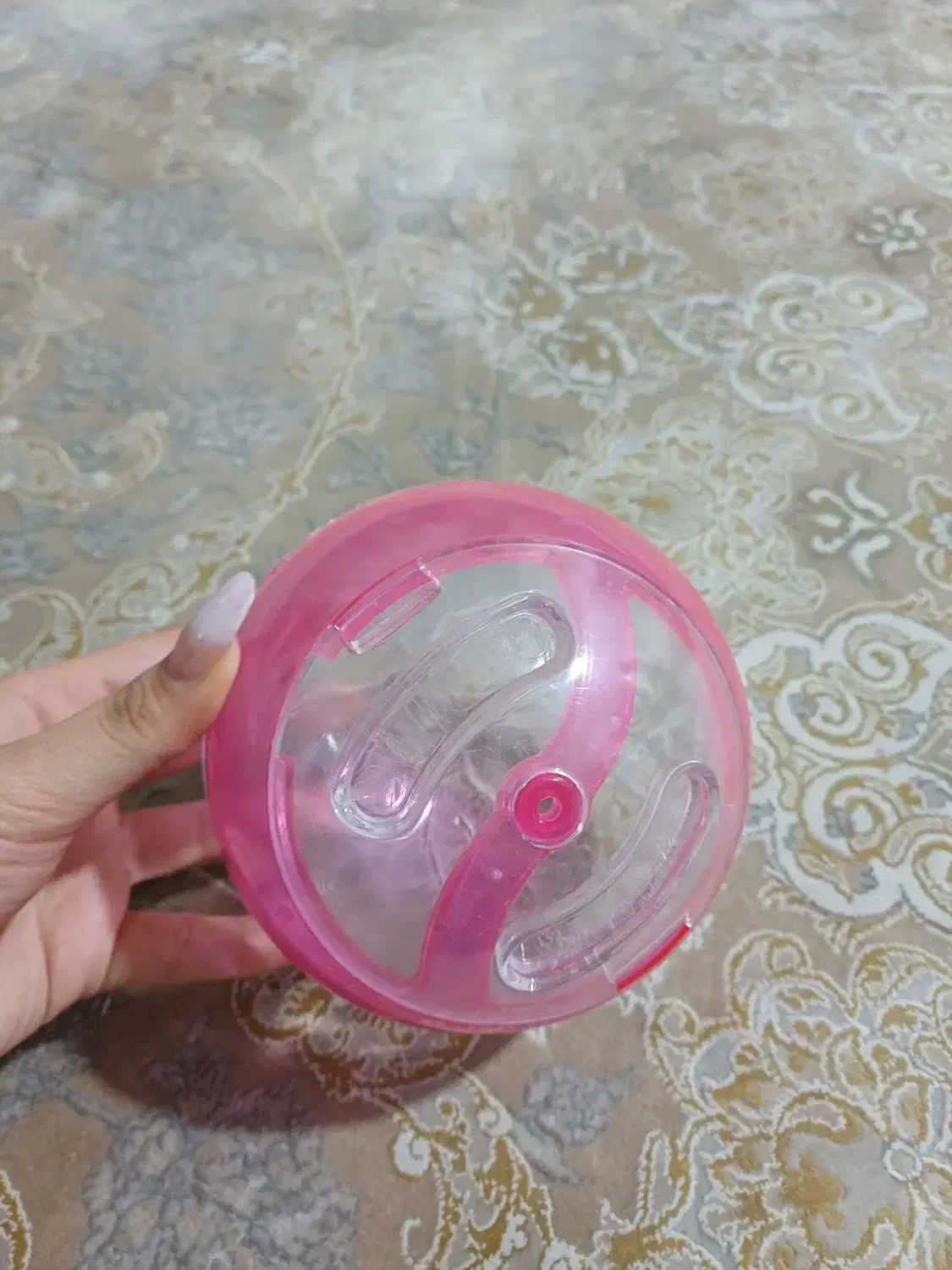 توپ پلاستیکی همستر|موش و خرگوش|قدس, شهر‌قدس|دیوار