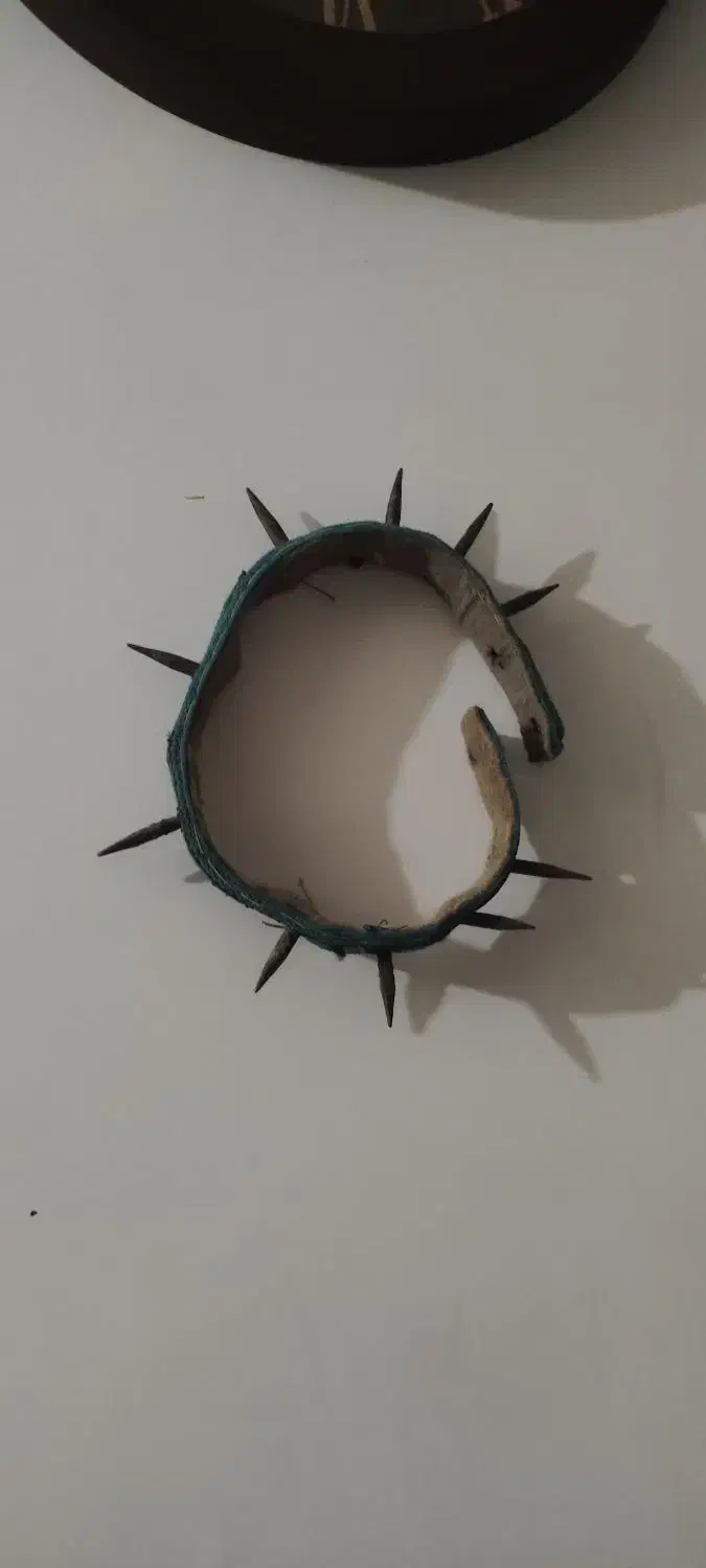 قلاده سگ|لوازم جانبی حیوانات|نیشابور, شهید بهشتی|دیوار