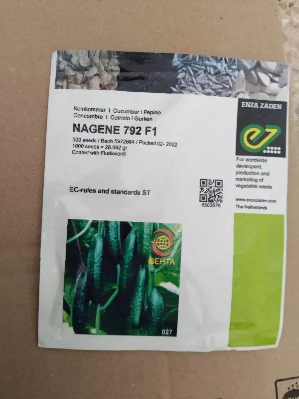 برز خیار ناگینf1|حراج|ورامین, ورامین|دیوار